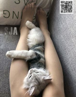 动漫之家x_BD英语免费观看韩国