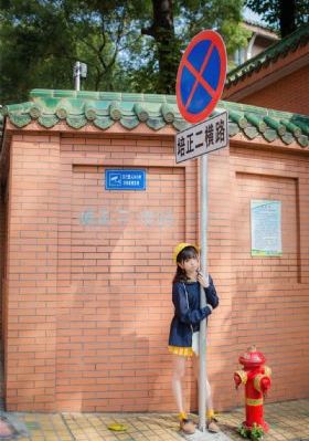 梅花儿香全集观看免费_1080P在线视频观看