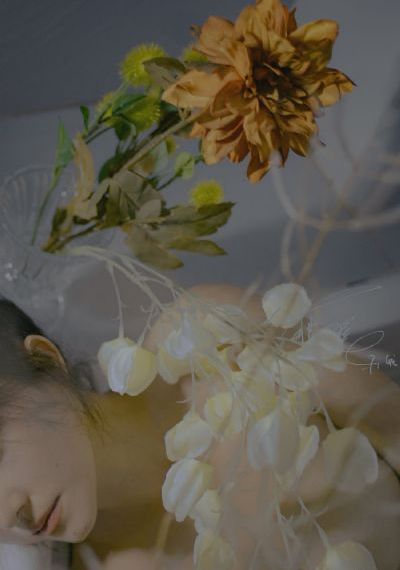 不死者之王第5季观看_BD国语迅雷电影在线