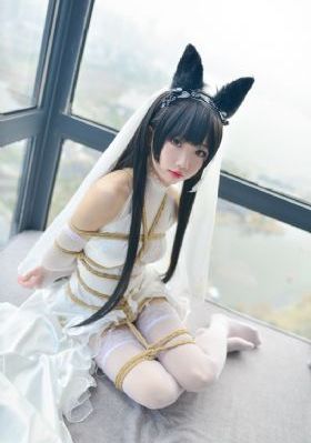纯粹的激情_蓝光免费高清观看