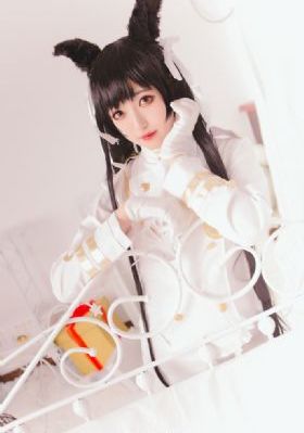 鹰隼大队 电视剧_BT种子搜索